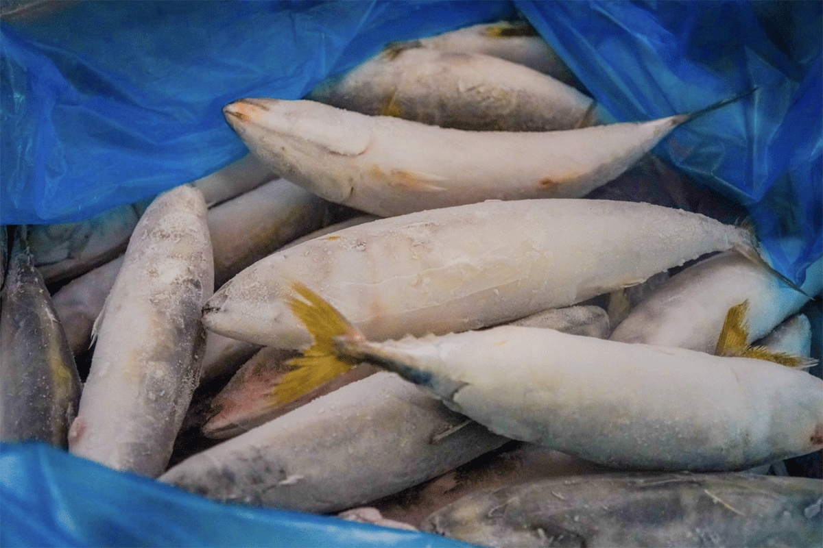 Isda