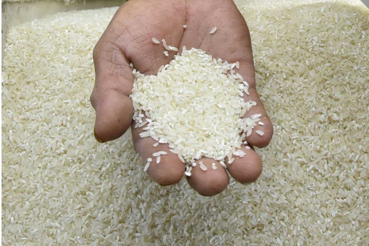 Rice