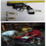 Gun