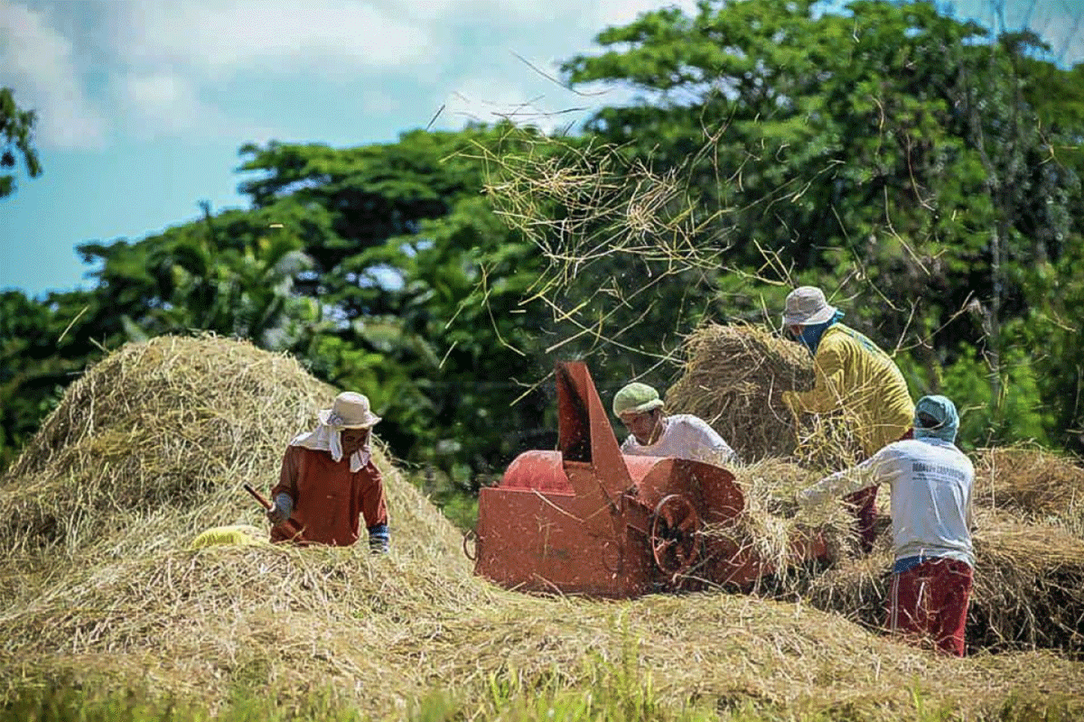 Rice Millers