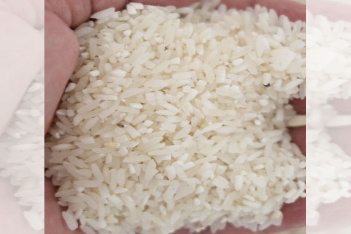 Rice