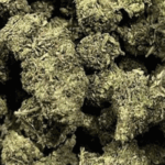 Kush