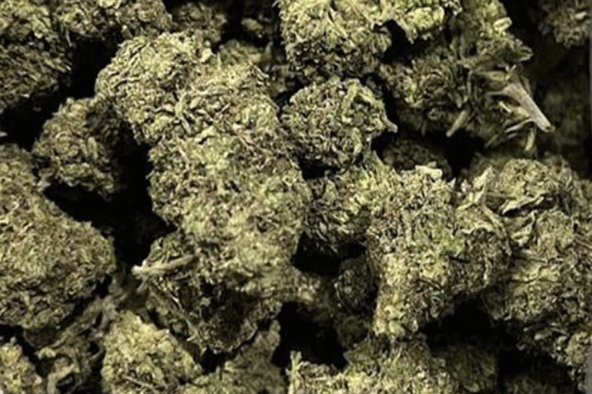 Kush