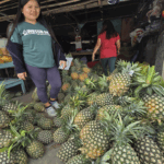 Pinya