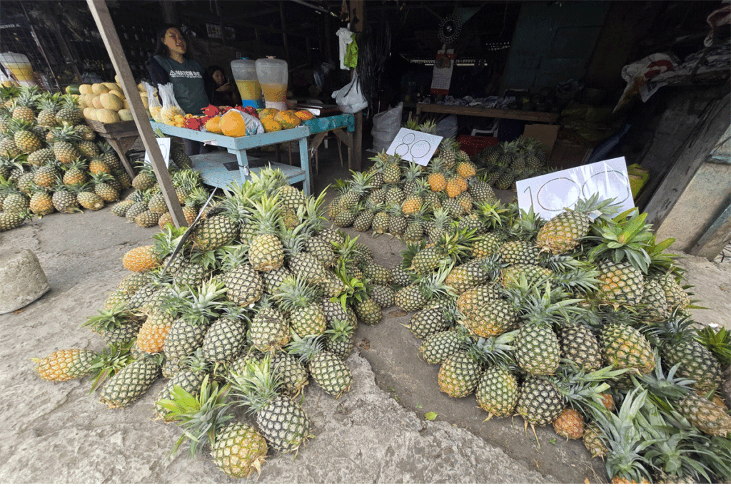Pinya