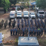 Pulis