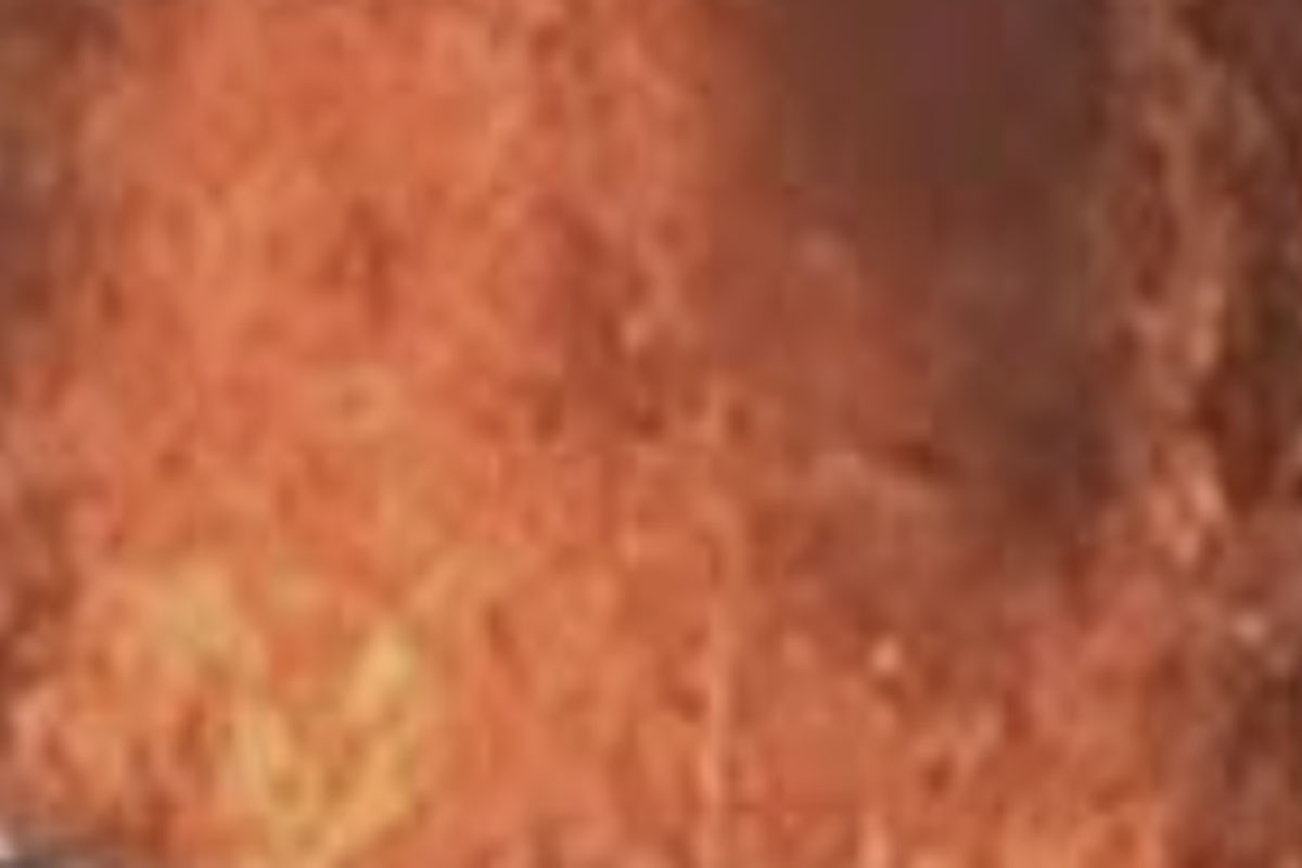 Sunog