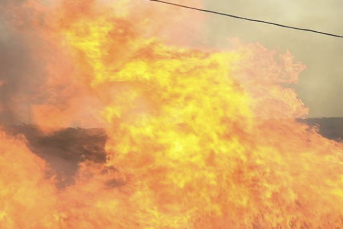 Sunog