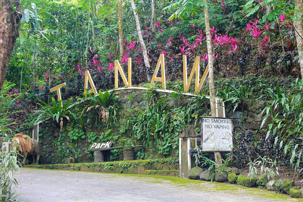 Tanaw