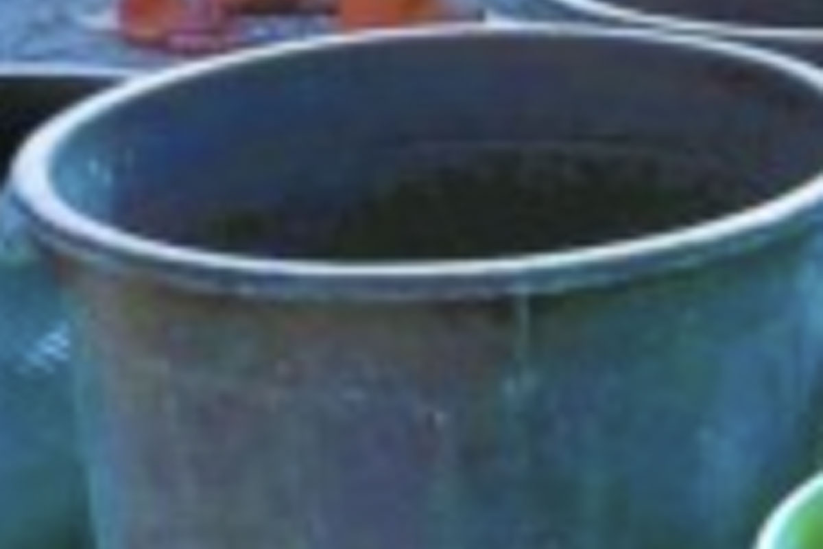 Bata
