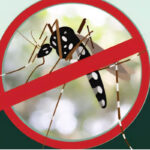 Dengue