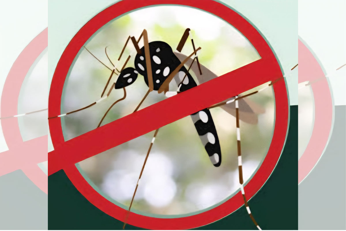 Dengue