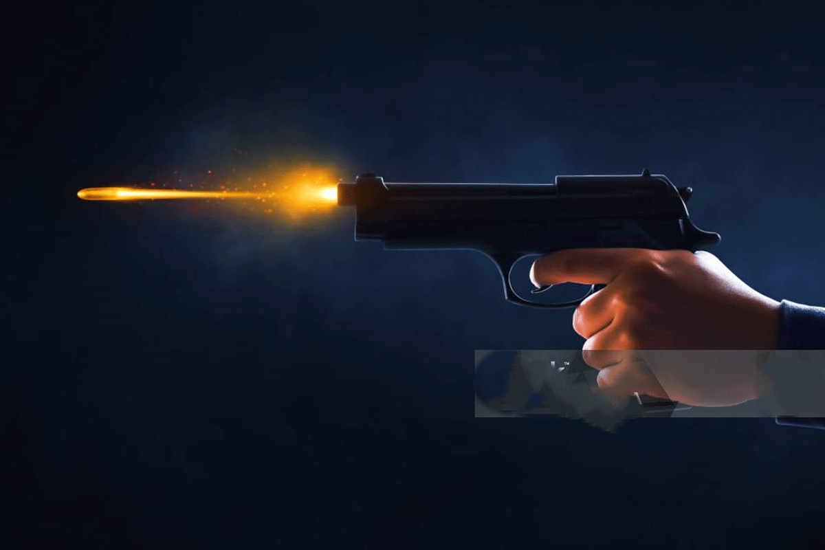 Gun