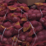 Onion