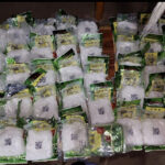 PDEA