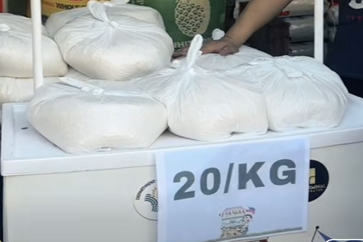 Rice