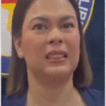 Vice President Sara Duterte