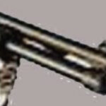 Shotgun