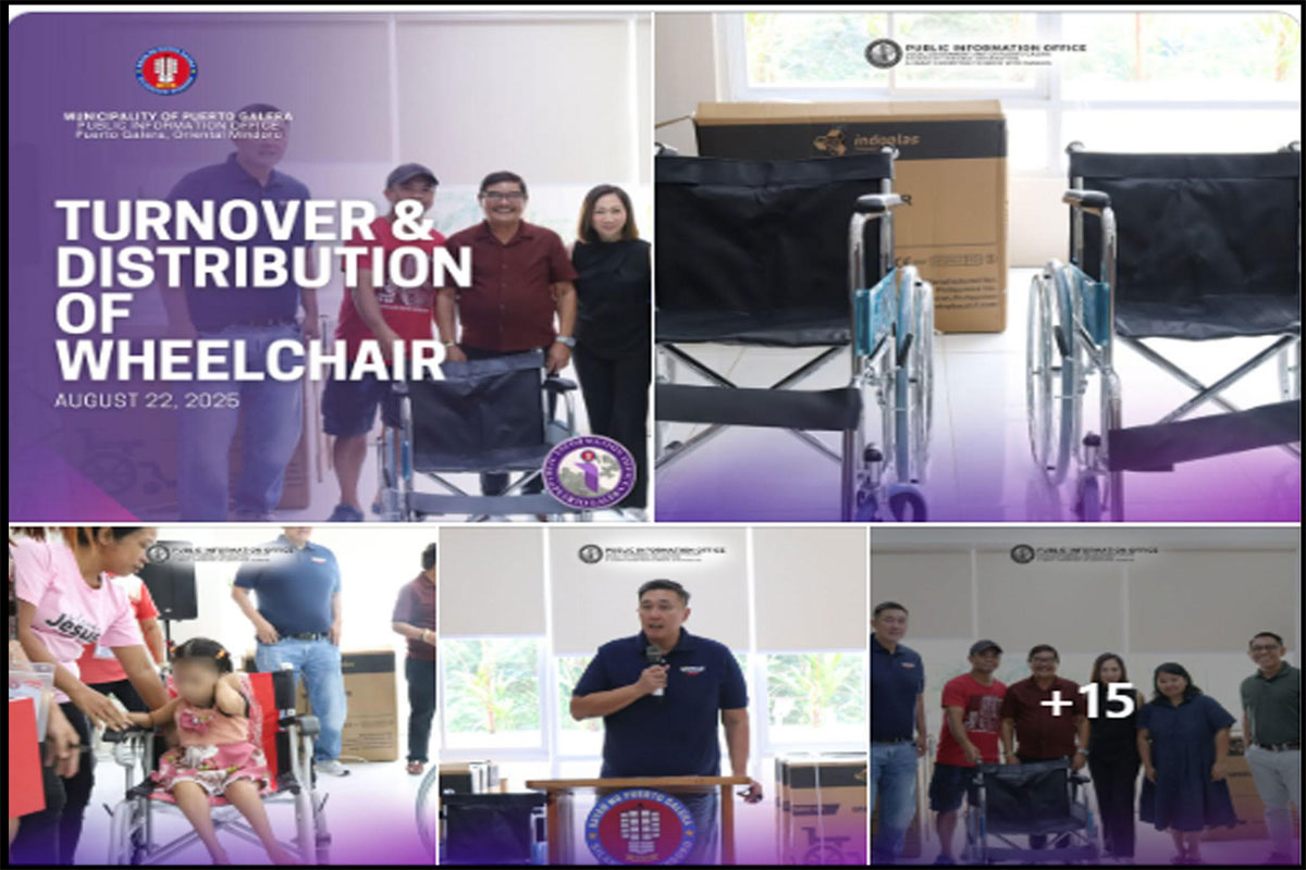 Wheelchair
