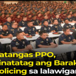 Barako