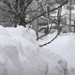 Snow