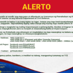 Alerto
