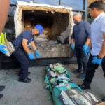 PDEA2