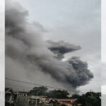 Albay