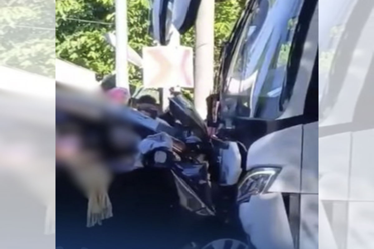Bus