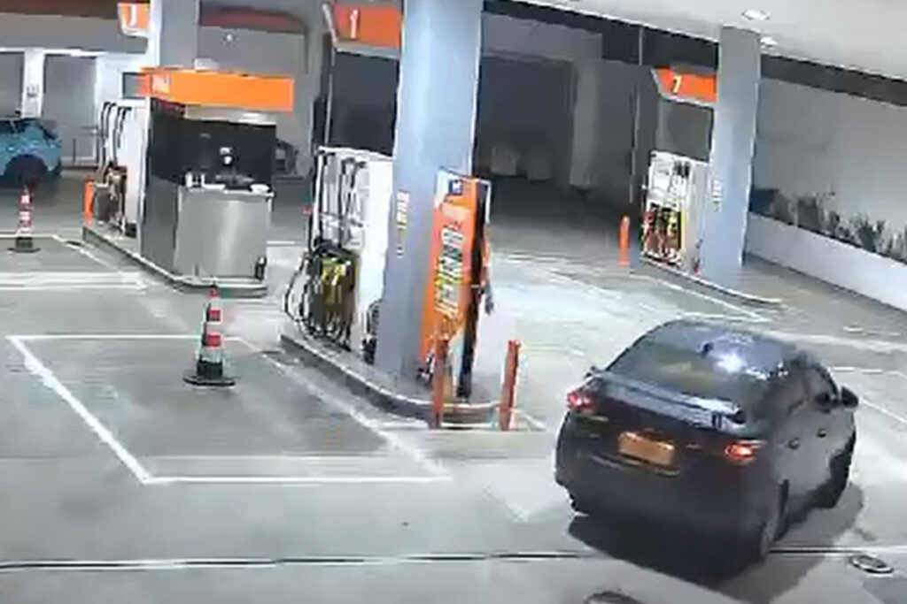 Gas1