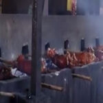 Lechon1
