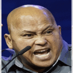 Sen. Bato