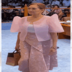 Sen. Hontiveros  