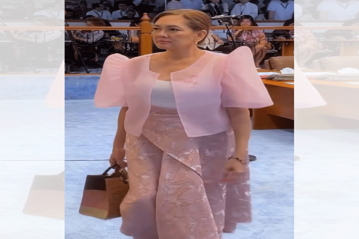 Sen. Hontiveros  
