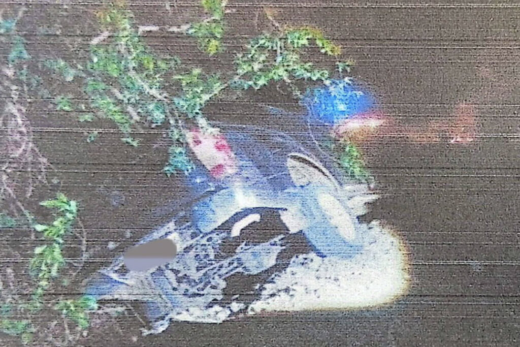 Truck2