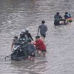 Tulfo