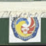 BIR