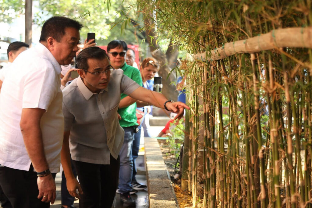 Bamboo