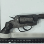 Gun
