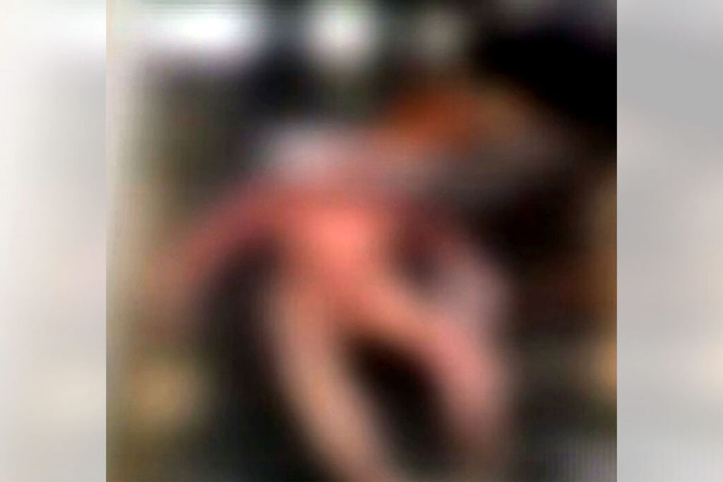 Pic5