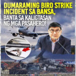 Tulfo1