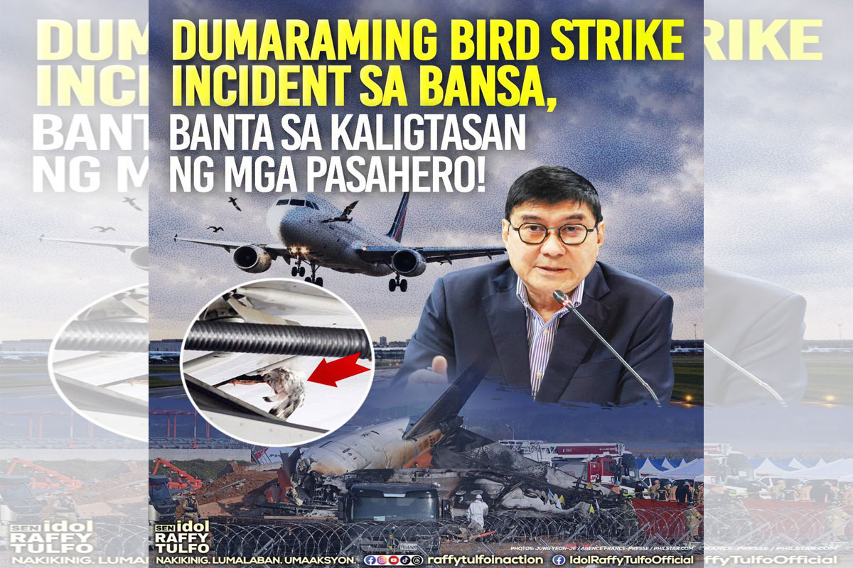 Tulfo1