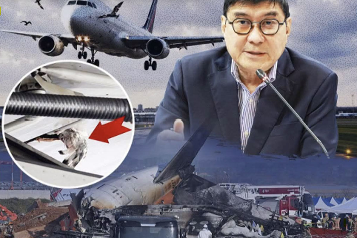 Tulfo2