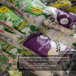 Bigas