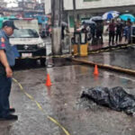 Hulog