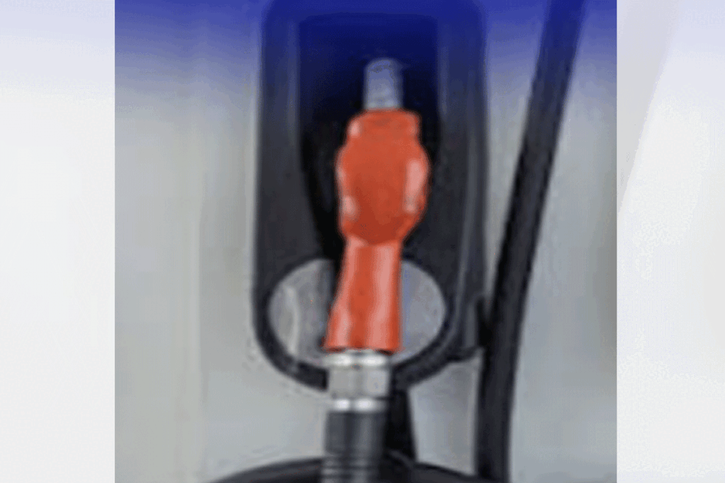 Fuel