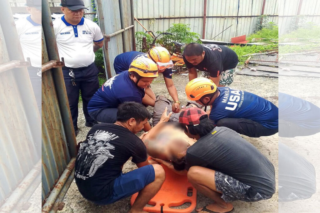 Hulog3