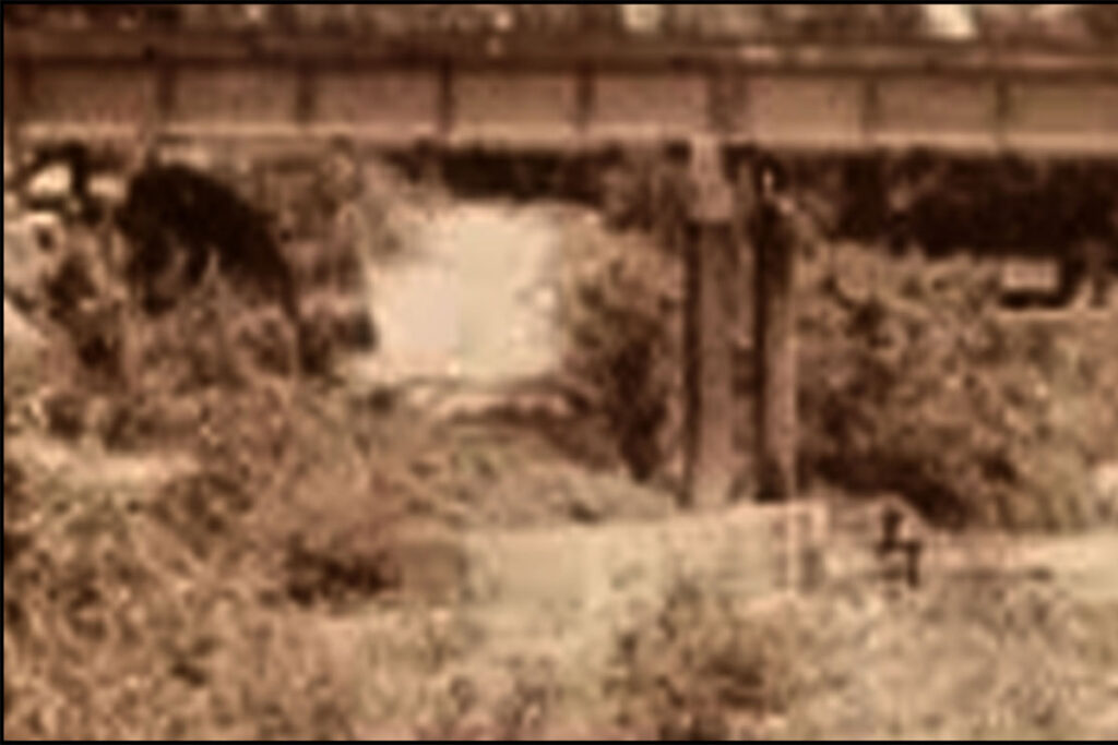 SOCO1
