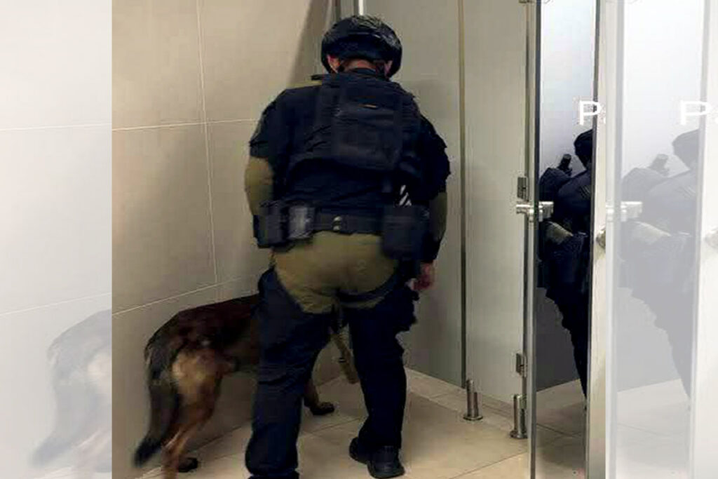 Bomb3