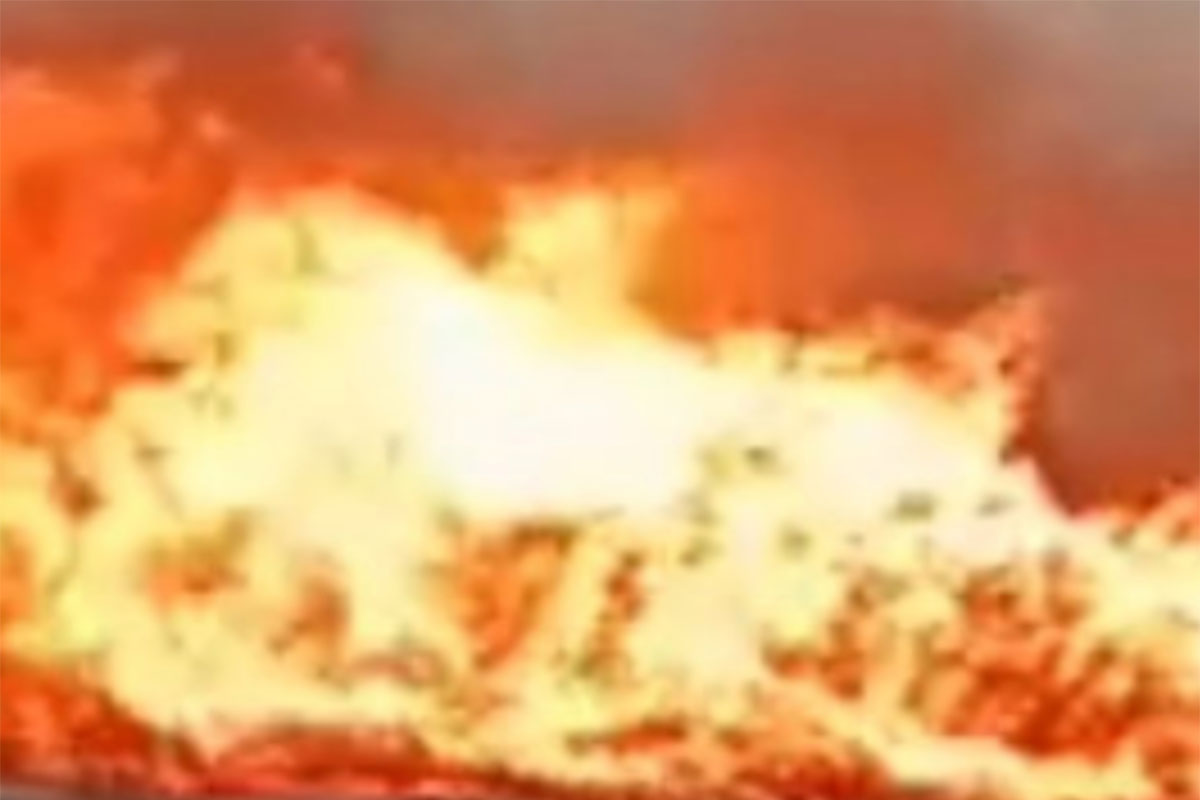 Sunog